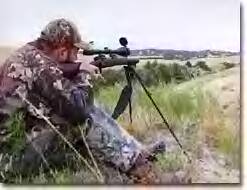 A scope is a requirement on long range shots in open country.