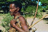 Bushmen picture with bow