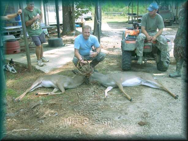 Whitetail Deer Locked Horns- Eric S. Stacy